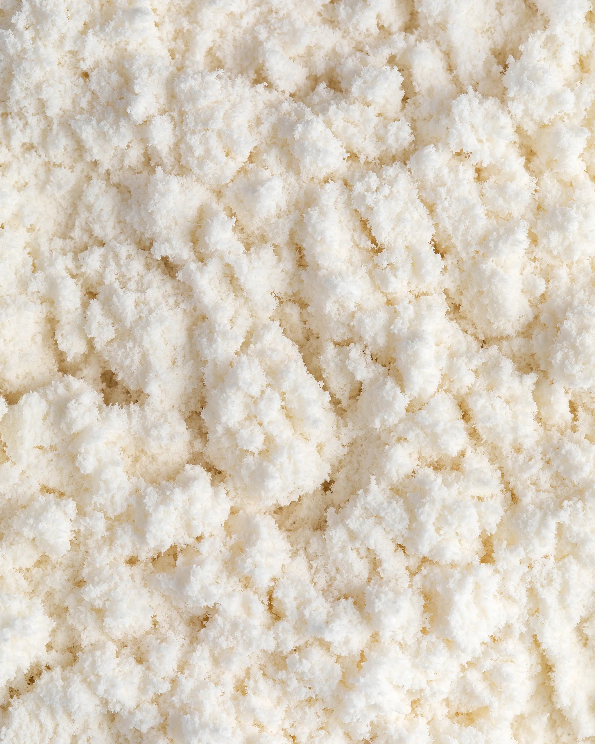 A close up view of the BearWell unflavoured whey protein